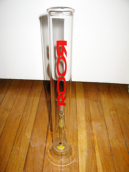 RooR Back Side View